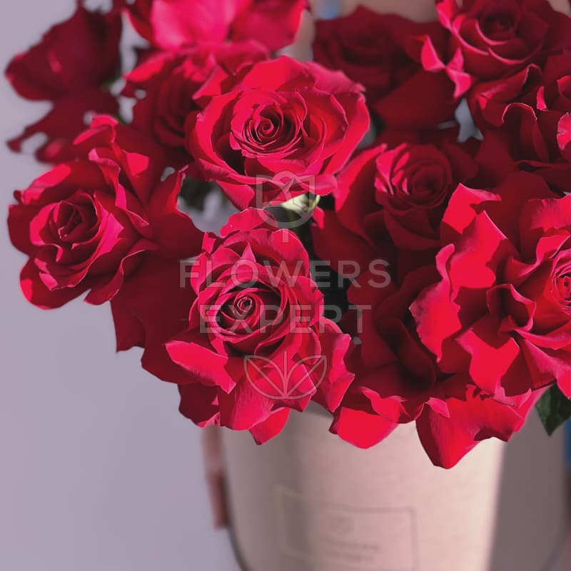 Коробка из 15 французских роз "FREEDOM"