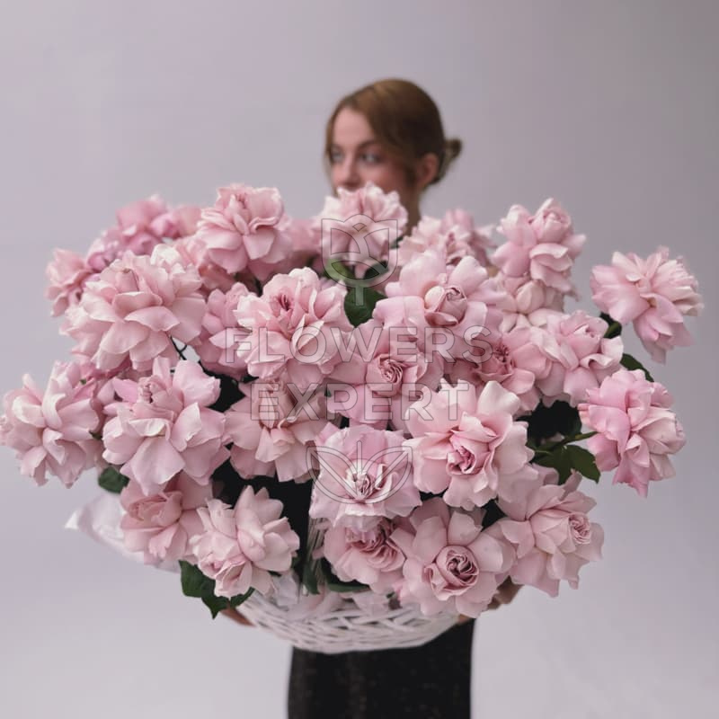 Корзина из 51 французской розы "ELLE"