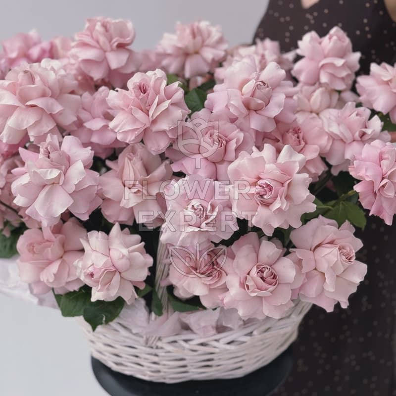 Корзина из 51 французской розы "ELLE"