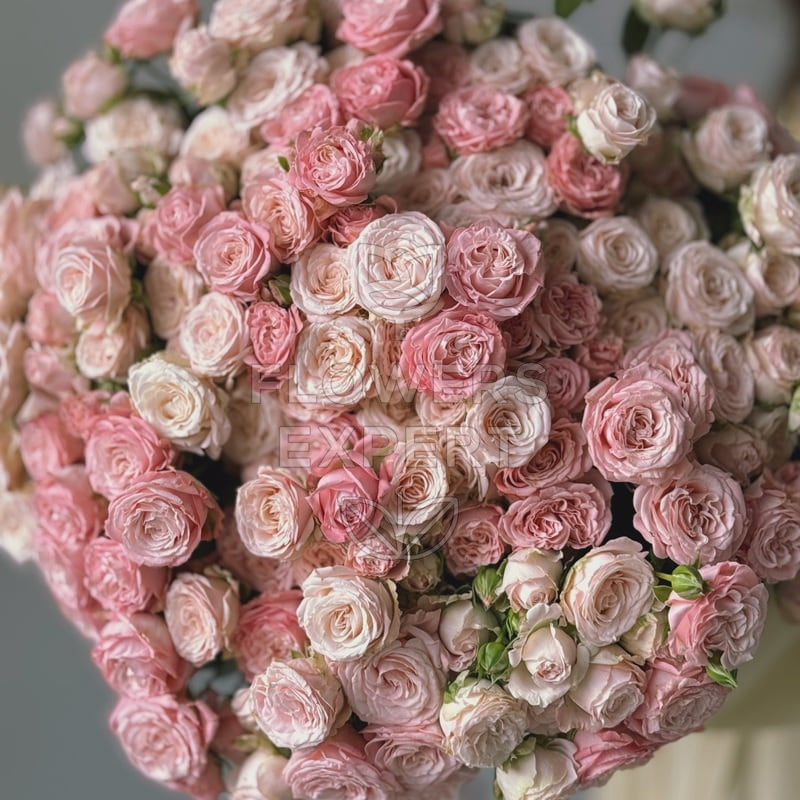 Большой букет из 51 кустовой пионовидной розы "BOMBASTIC"