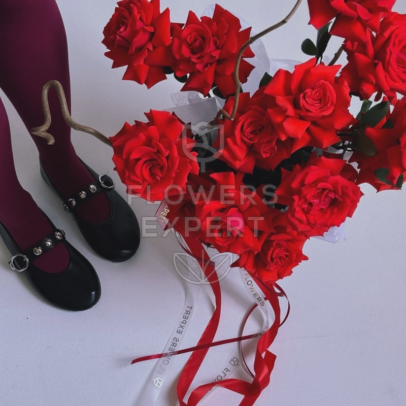 Композиция в кашпо c 15 французскими розами "CHÂTEAU ROUGE"