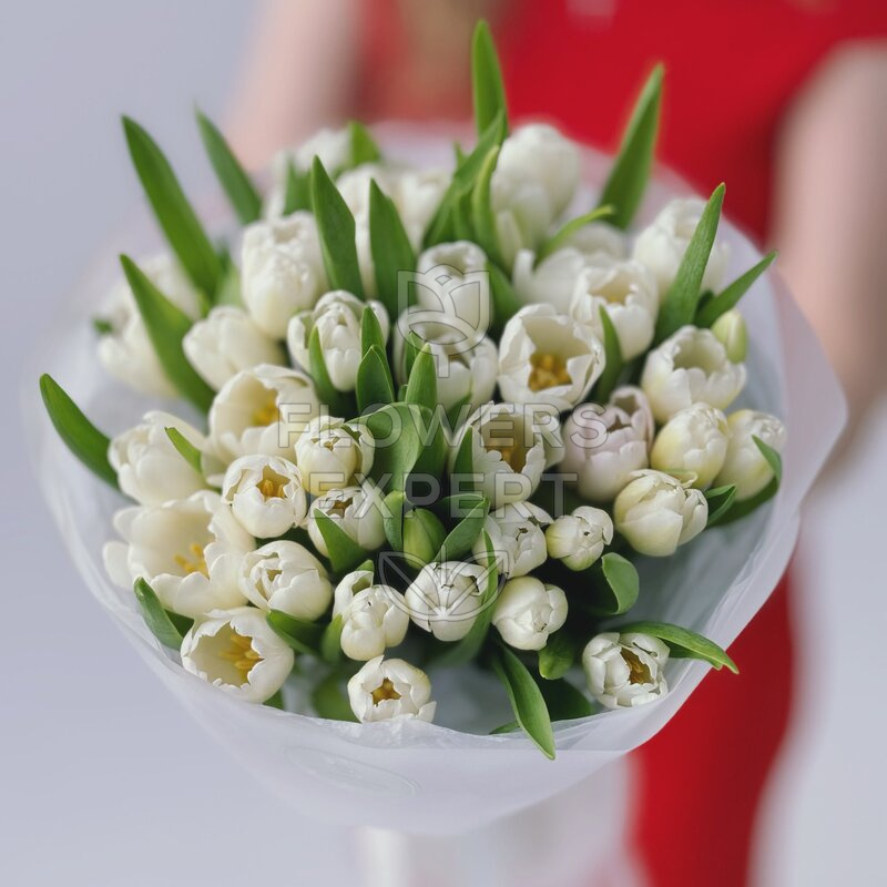Букет из 51 белого тюльпана "WHITE PRINCE"