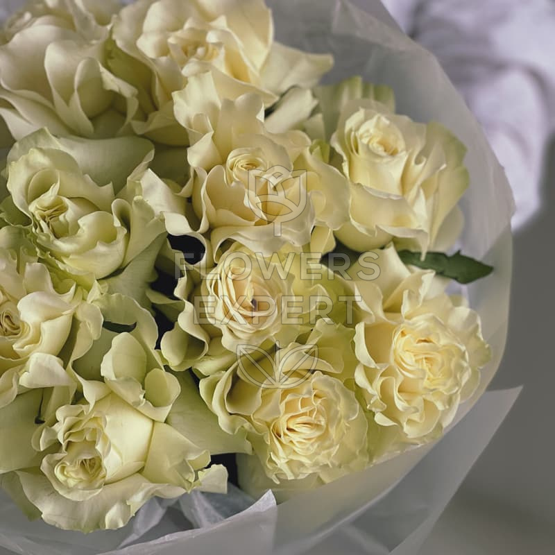 Букет из 11 французских роз "WHITE MONDIAL"