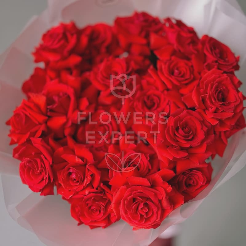 Букет из 25 алых французских роз "NINA"