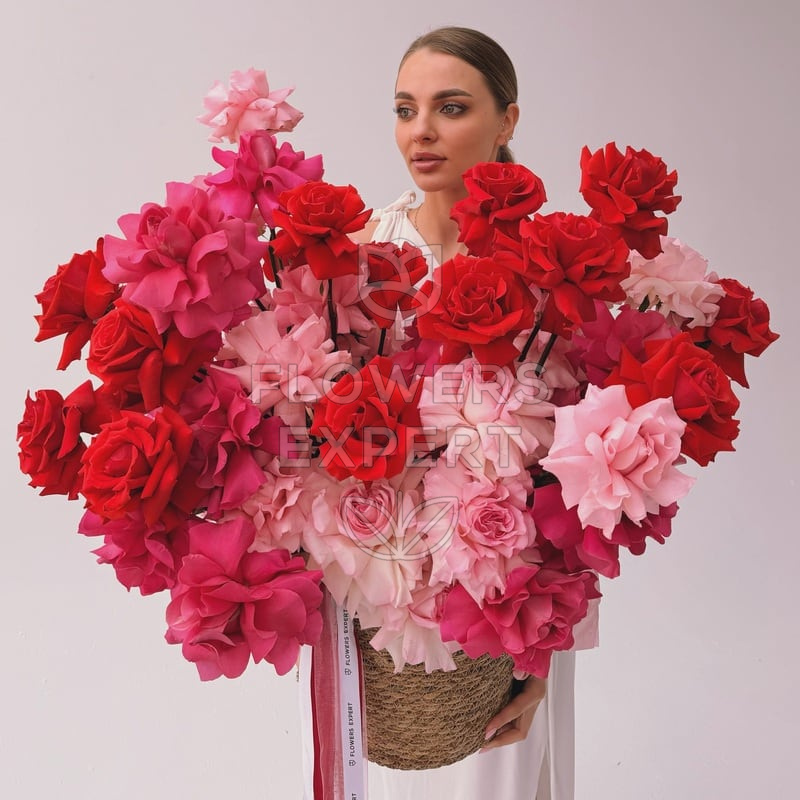Композиция в кашпо c 75 французскими розами "ÉCLAT DE ROUGE"