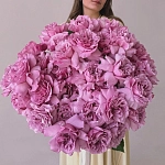 Пионовидные розы