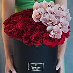 Орхидеи в шляпной коробке