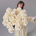 Французские розы