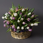 Махровые тюльпаны