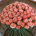 Оранжевые розы