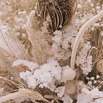 Из сухоцветов