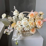 Корзины с орхидеями