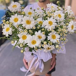 Ромашки в шляпной коробке